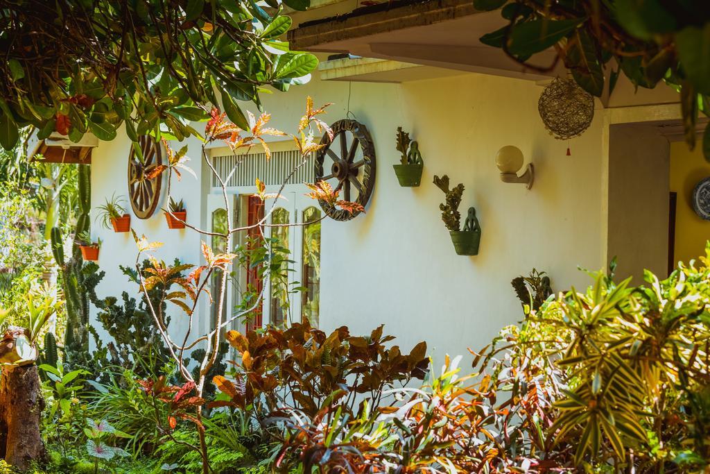 Shammie Guest House هيكادوفا المظهر الخارجي الصورة