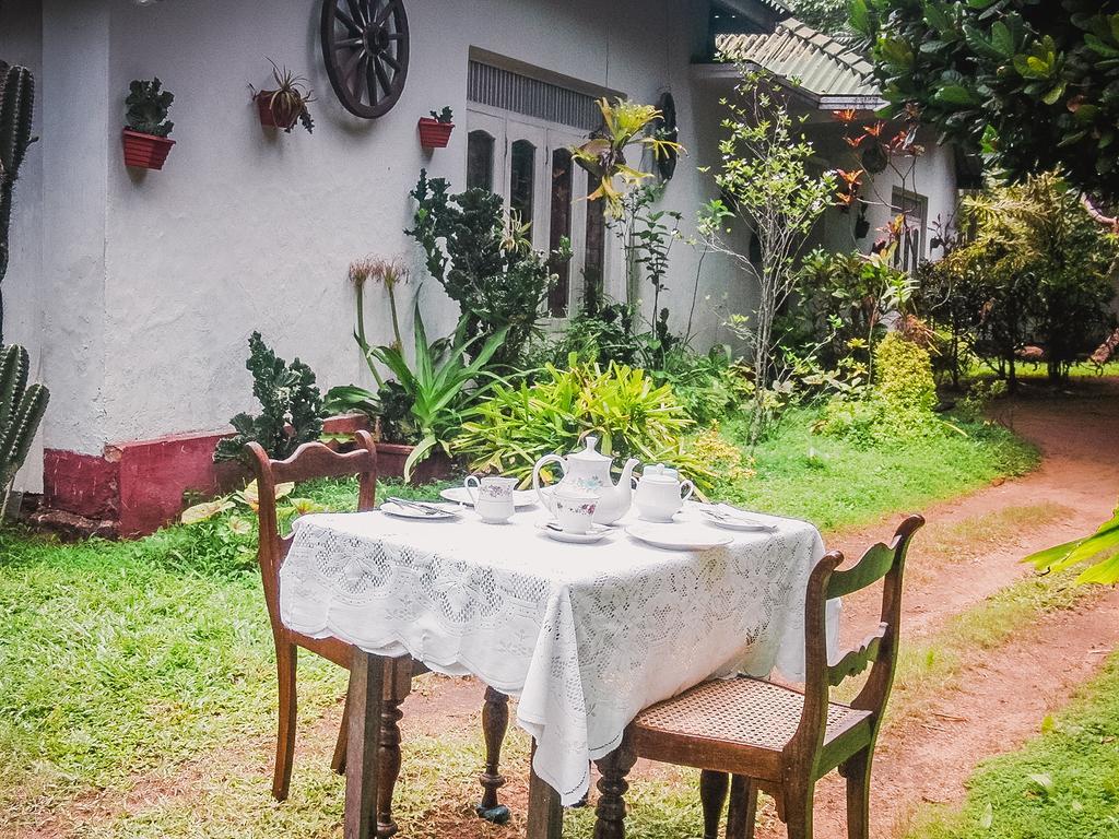 Shammie Guest House هيكادوفا المظهر الخارجي الصورة